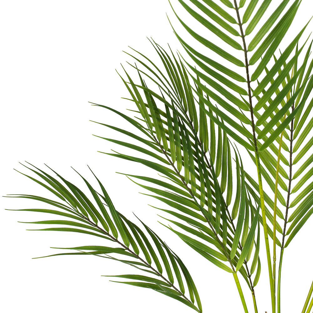 7143/0117-90 Пальма кустовая 90см (13 листов)_2