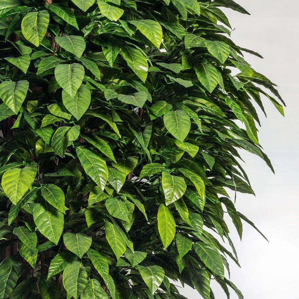 350/РН/209(з)(Пр) Фикус искусственный с крупным листом h350см_1