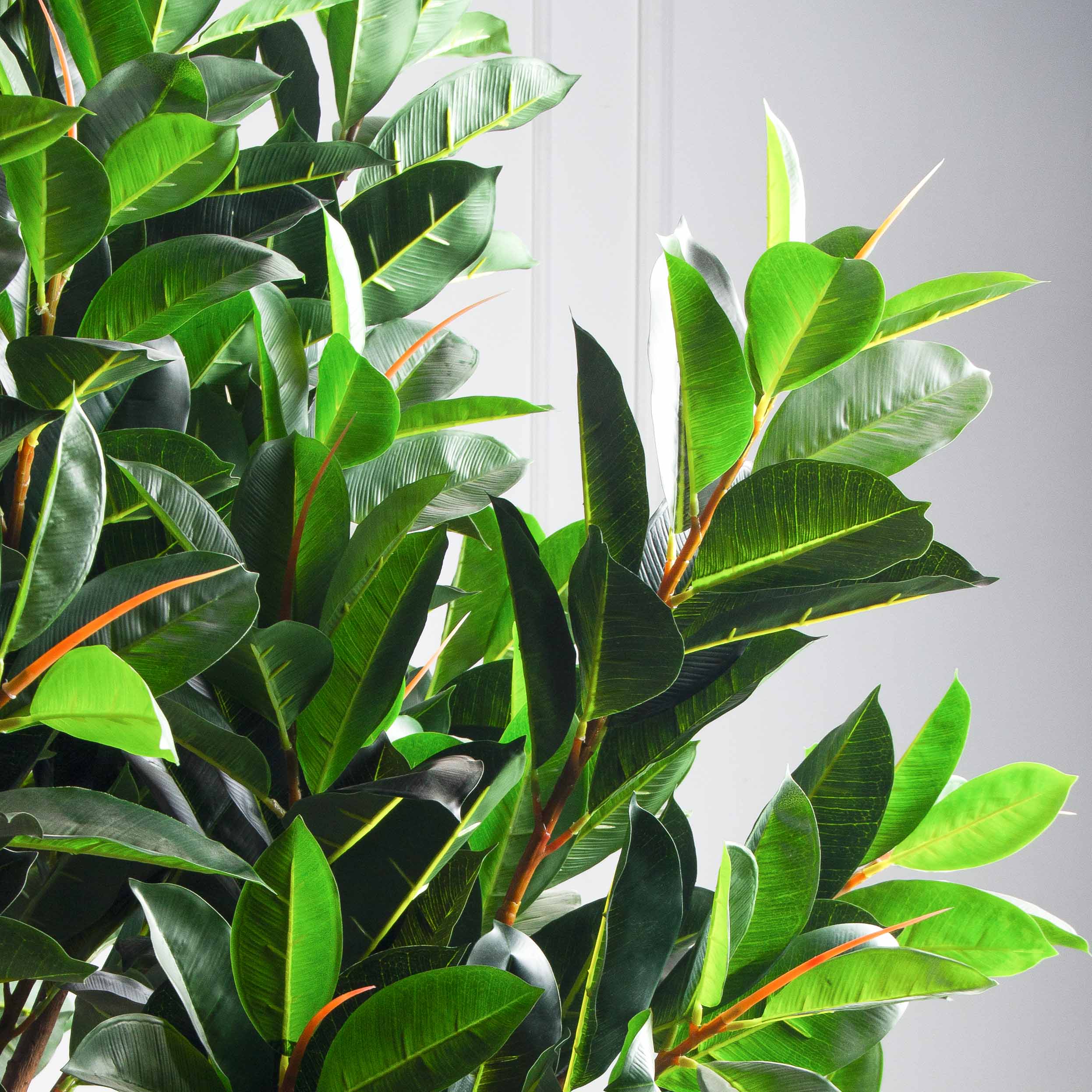 240/К/418(з)(Пр)(F) Фикус искусственный Эластика  h240см, латекс_6