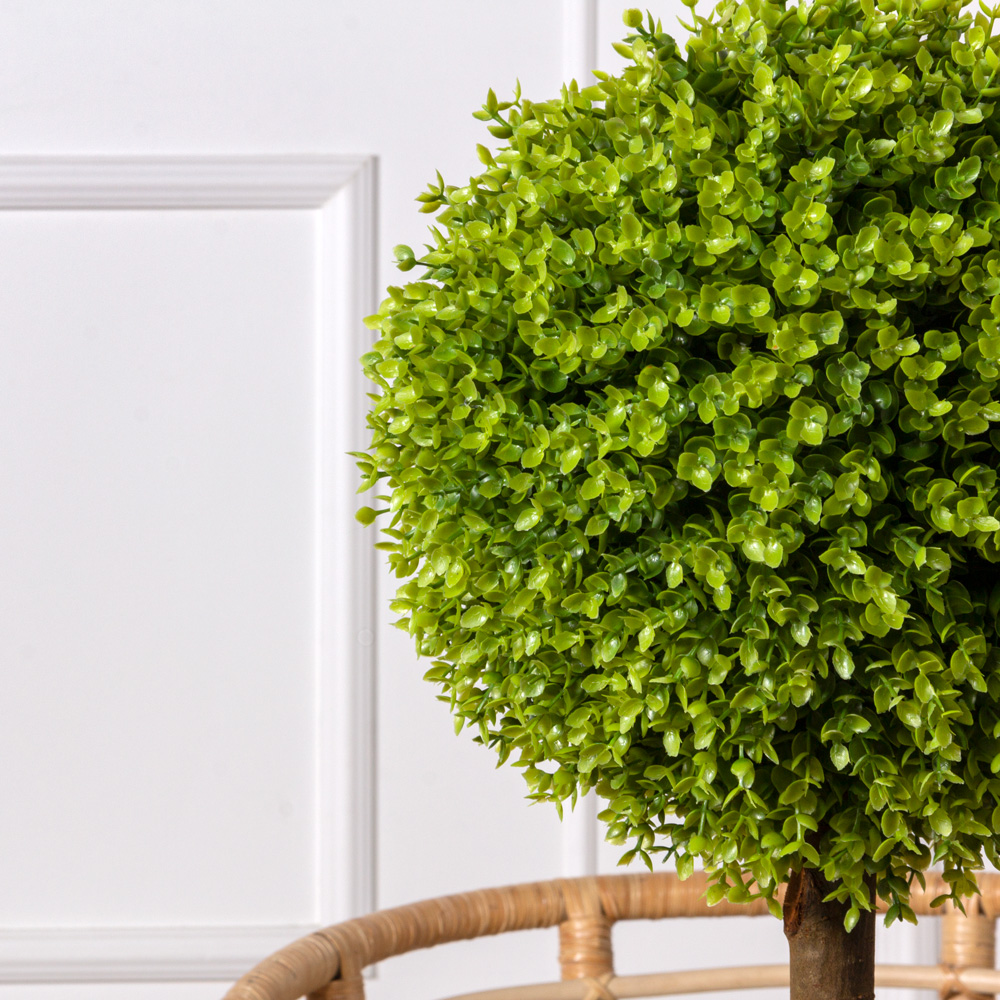 СШК120/Я2/98(Promo)(Пр) Самшит 2-х ярусный h120см (d42-45, d35см)_2