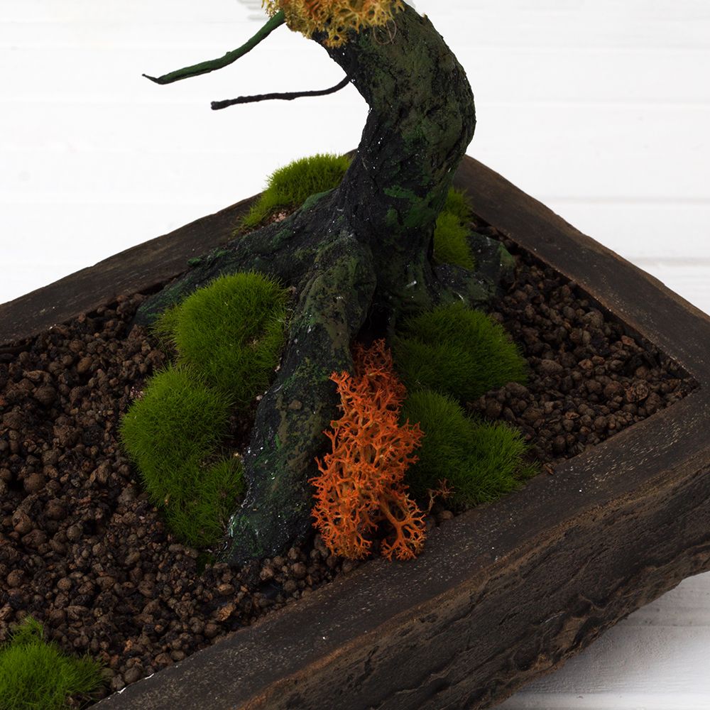БМ 40/31(з.) Бонсай со мхом h-40см;L-50см_3