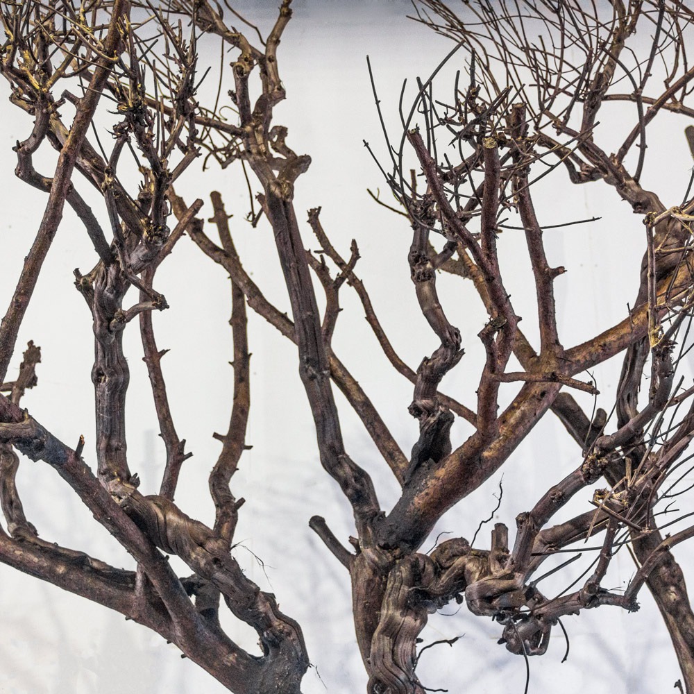 350Разб/РБР/ДЗ/АСС Дерево искусственное интерьерное разборное h350см_4