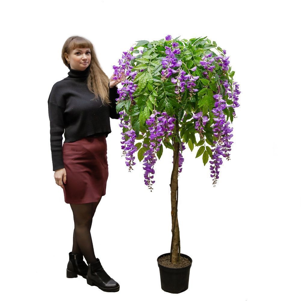 160/УК/424-2 Глициния(вистерия) сиреневая h160см (латекс)_3