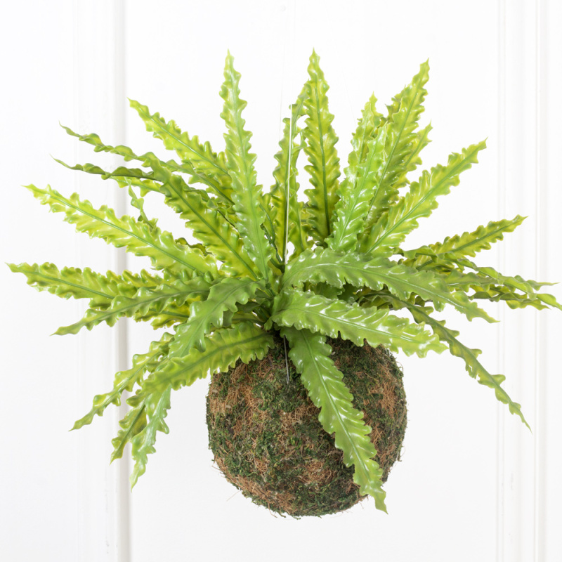 ККД35/208-1 Кокедама d-15 