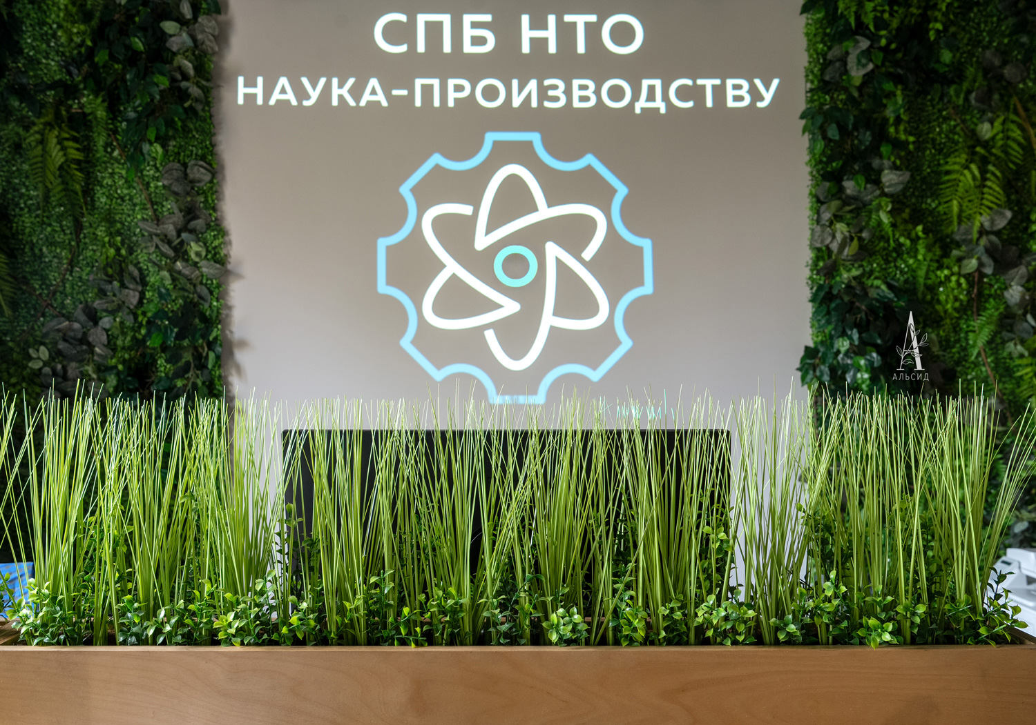 Т0255(з.) Трава искусственная Осока с самшитом h28см в кокосовом боксе 50х8х8см_4