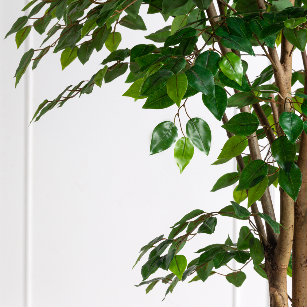 300/РН/23(з)(Пр)(F) Фикус искусственный h300см (латекс)_2