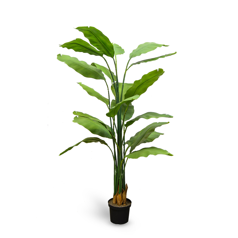 П180/356 Куст Банана (зеленый)h180см(латекс)