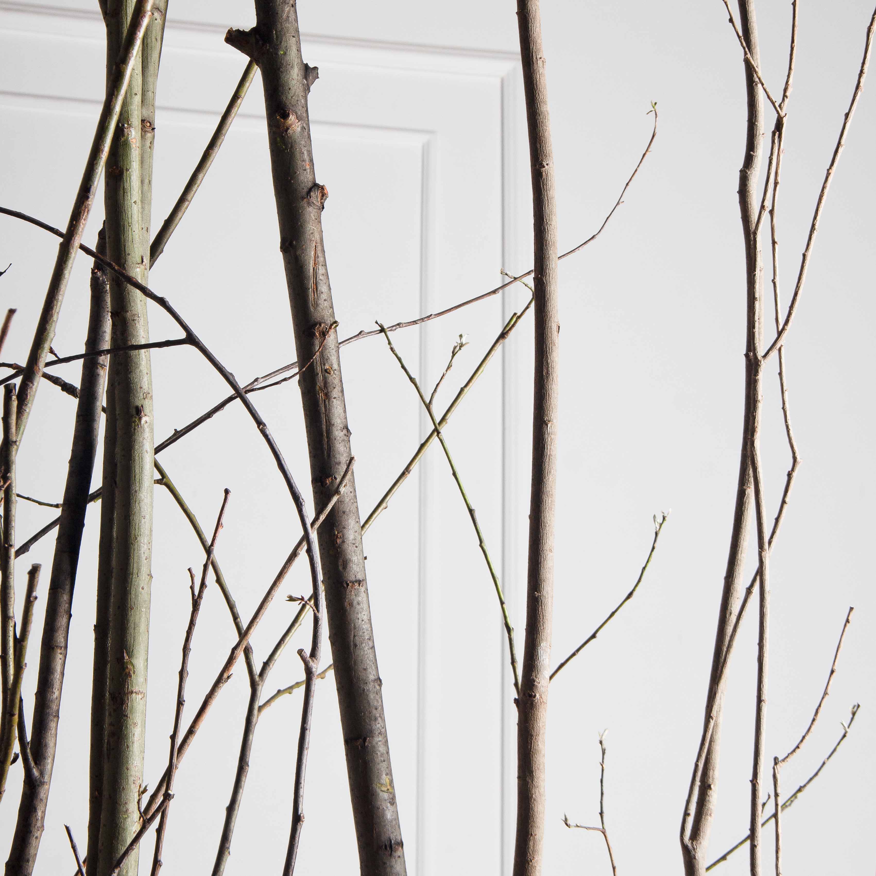 ДИ01-3(з)(F) Изгородь искусственная декоративная 316,5хh370см_9