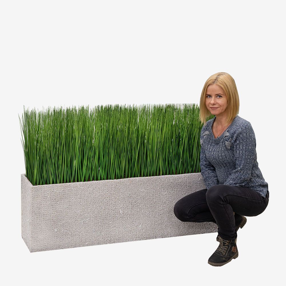 Т008-101(З) Осока h-42см в кокосовом боксе(128*24*_4