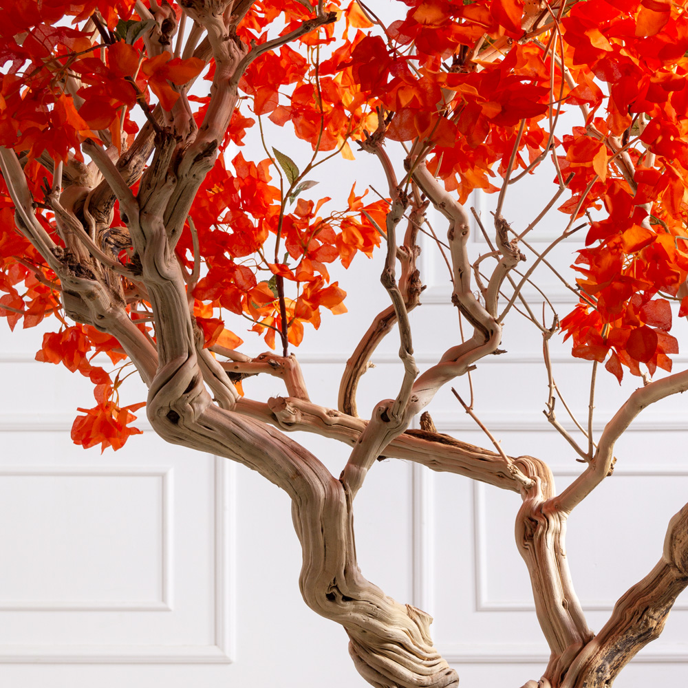 БЦ210/Д3/434(Пр)(F) Бонсай искусственный Бугенвиллия h210см_3