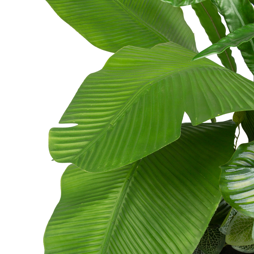 БК 38 Композиция с филодендроном и фиттонией на блоке 15*h10_2