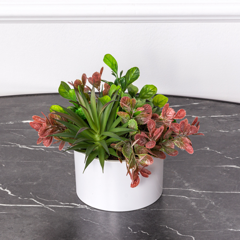 СКК06 Композиция из суккулентов h16см в интерьерном кашпо(зеленая)_4