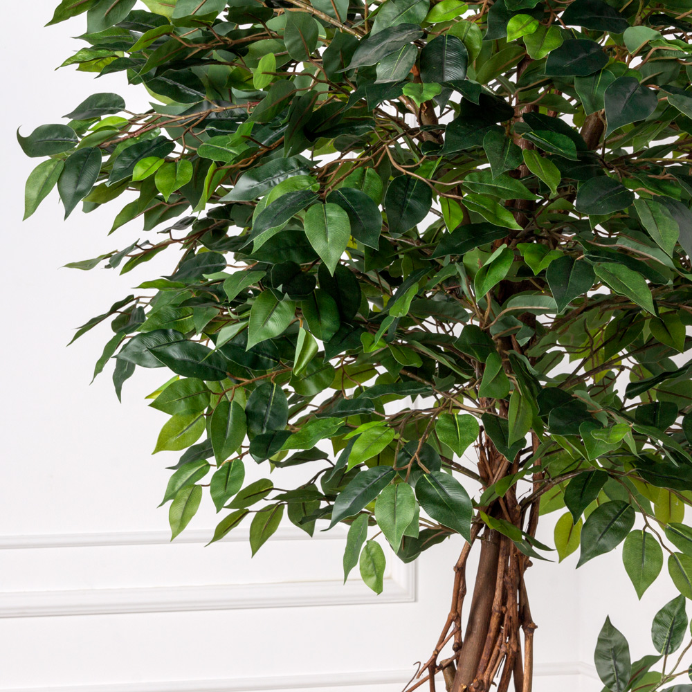 190/2К/ССТ/Л/34 Фикус искусственный h190см (латекс) _5