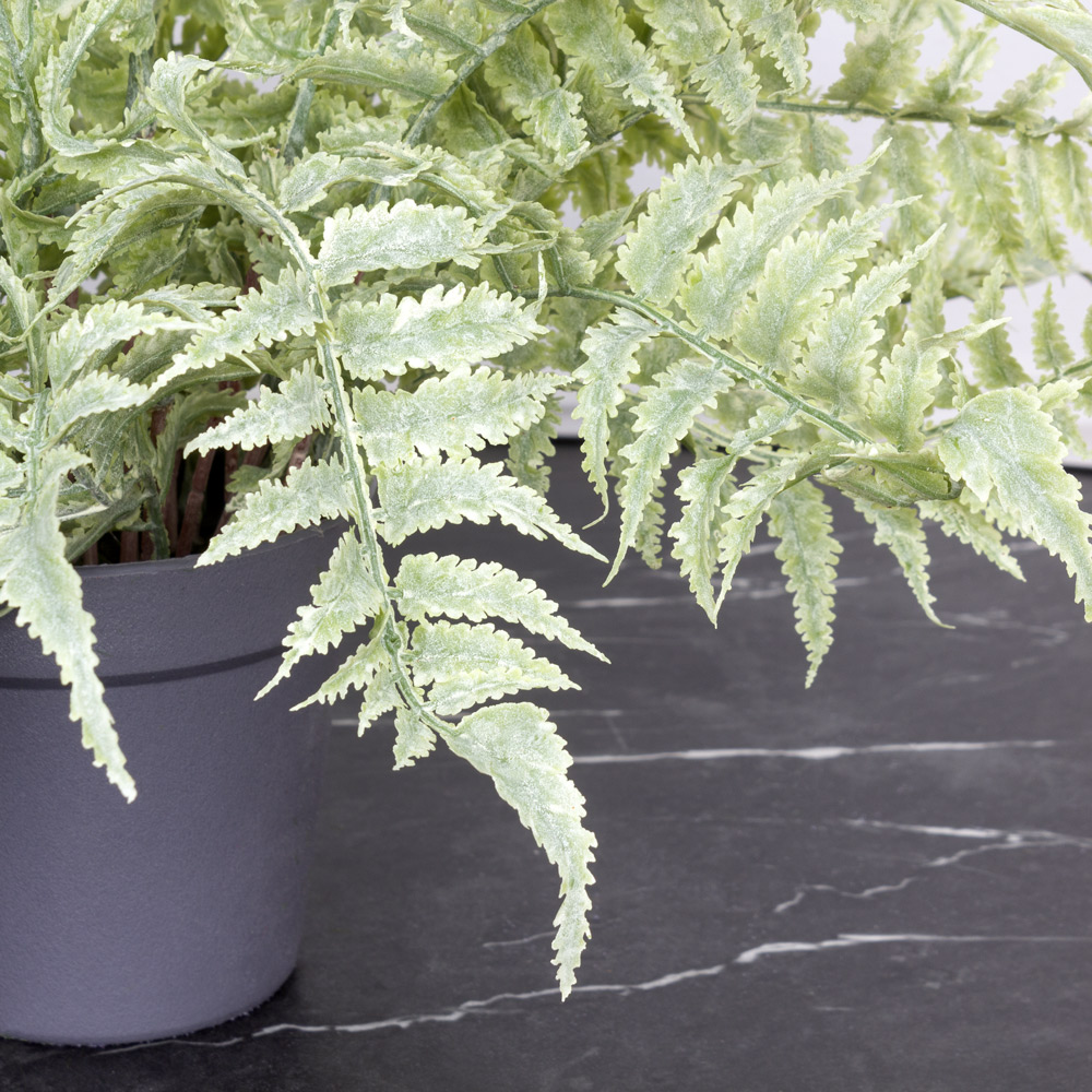 КС102 Папоротник искусственный Циртомиум в кашпо d11см_1