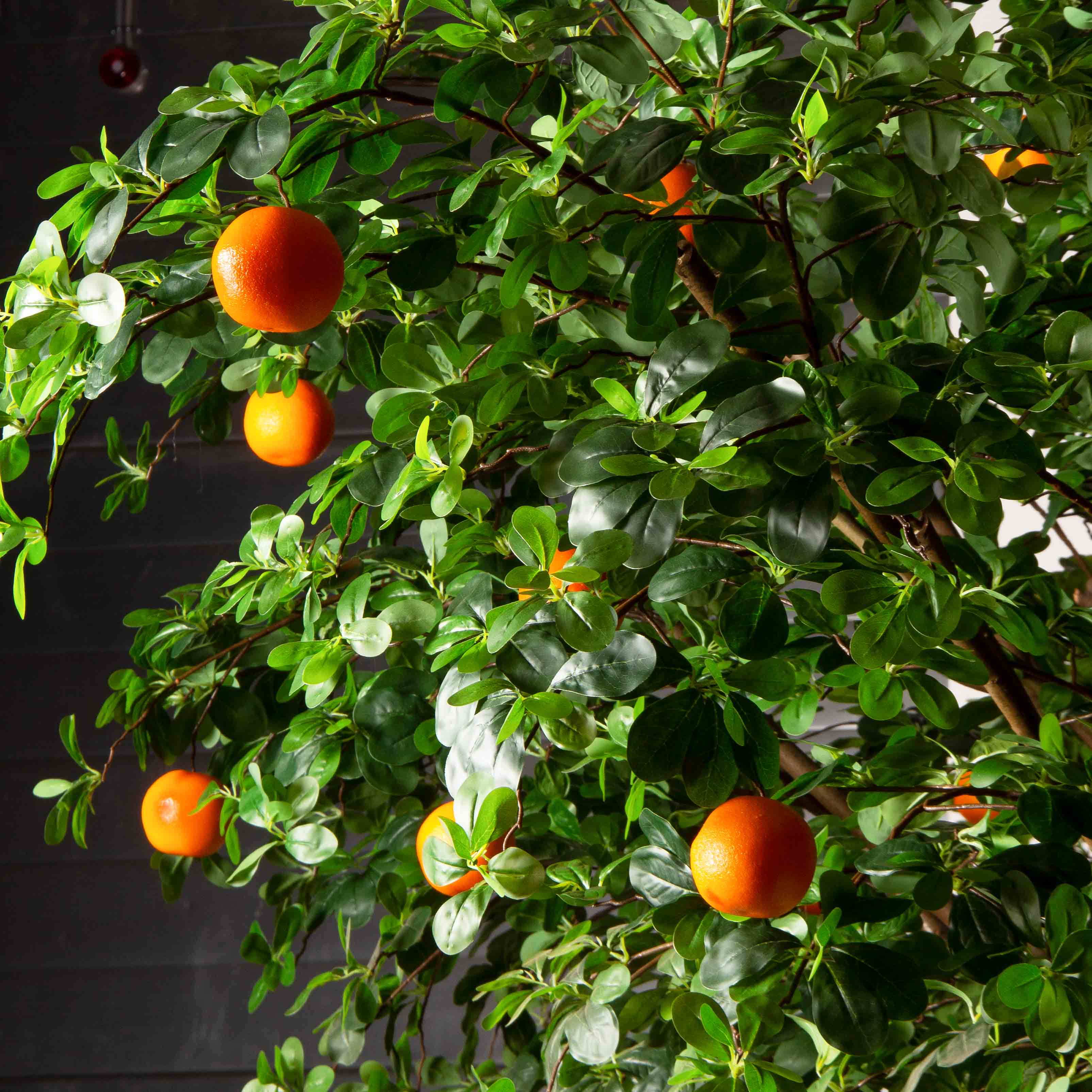 300/РН/84-1(з)(F) Шефлера искусственная h300см d330 на основании d75см, латекс_8