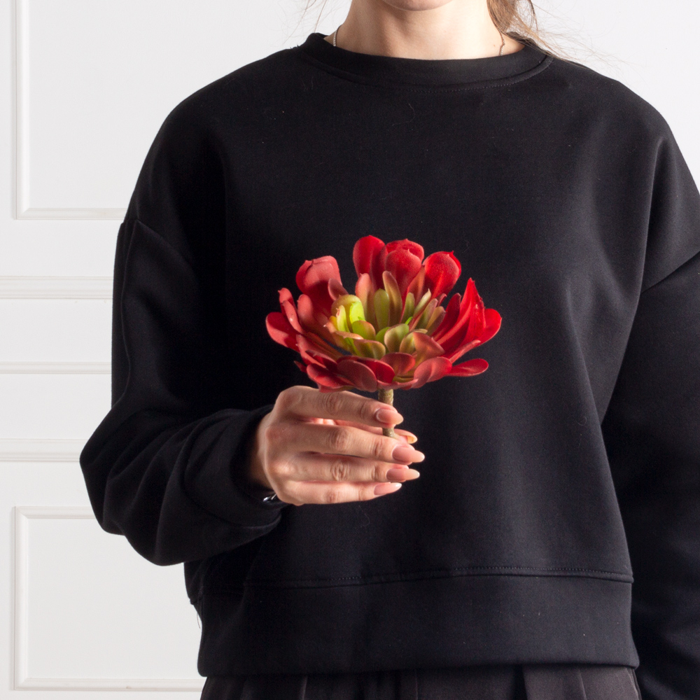 7143/9165-16/1(F) Суккулент искусственный  Эхеверия  гигант 18см, бордо_2