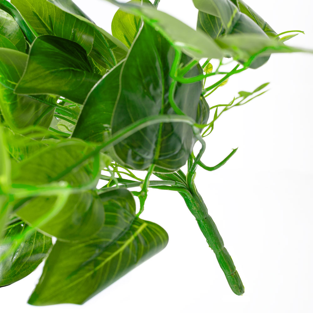 7144/0228-10Р Плющ сциндапсус *9в зеленый h100см(латекс)_3
