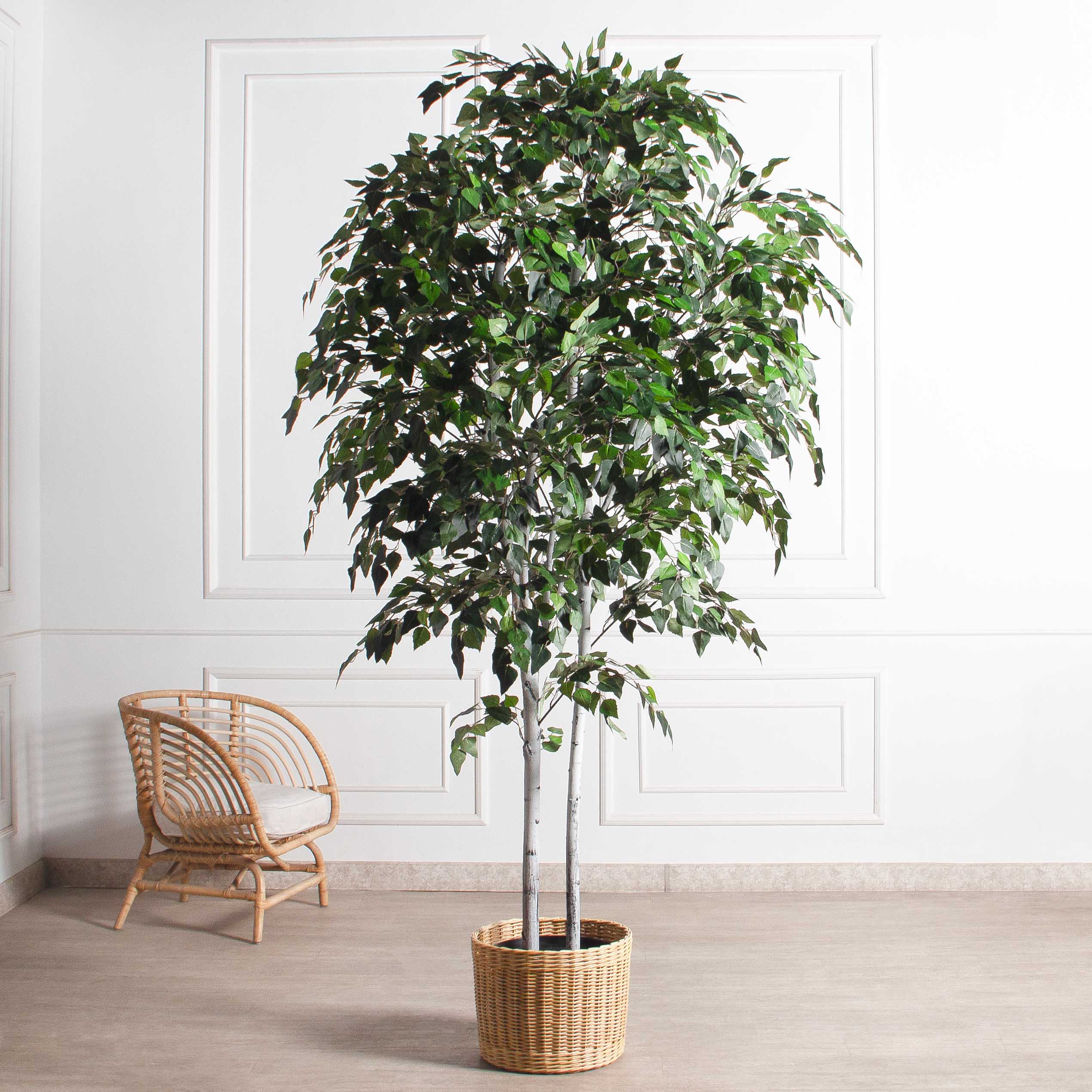 240/РН/12М-1(з)(F) Береза искусственная 2 ствола h240см_3