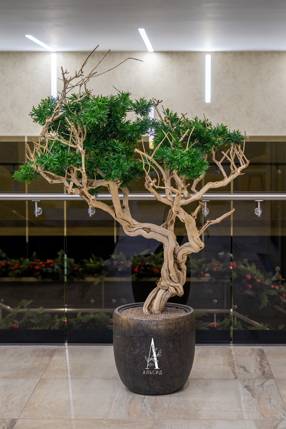 БЛ170/Д3/241(Пр)(F) Бонсай искусственный Подокарпус h170см_9