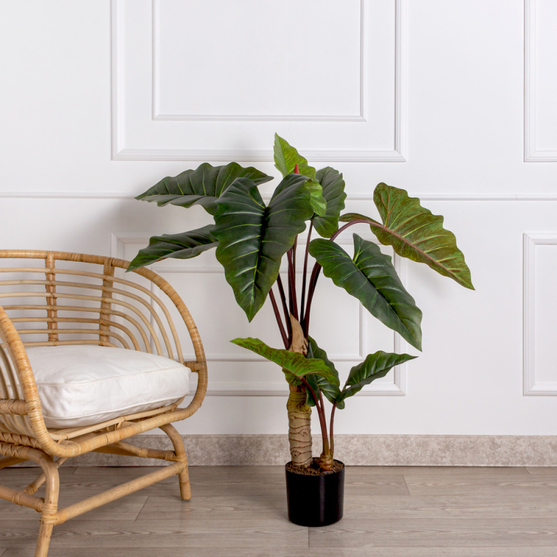 135/К/502(F) Колоказия искусственная h135см