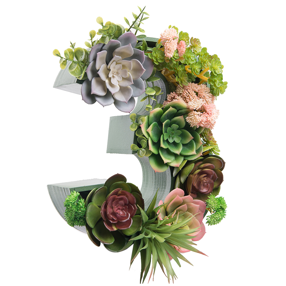 Логотип 1,2,3,4,5 с суккулентами (143*h27см)_7