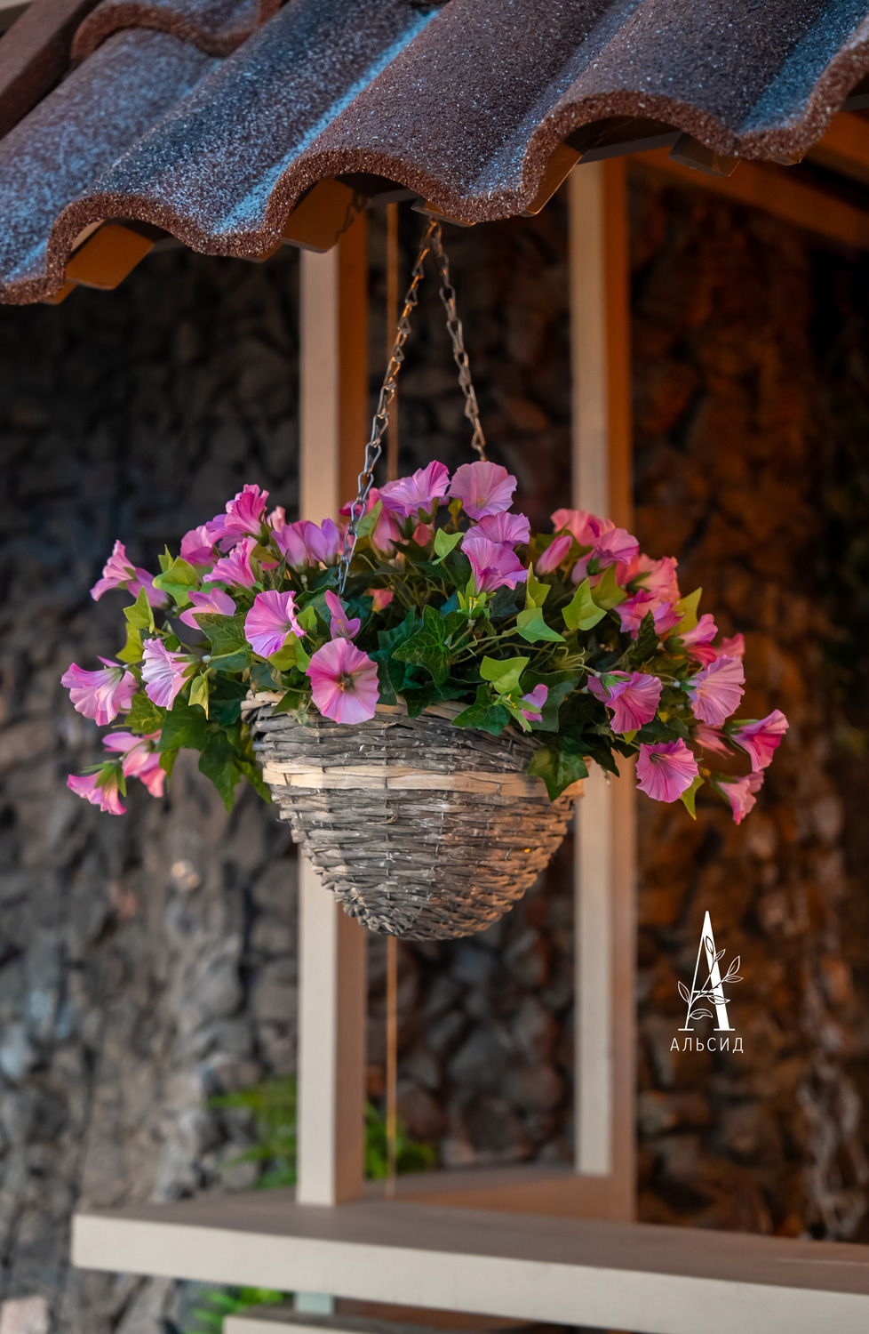 Ц601-4(з.) Петуния ампельная (розовая) h17см(латекс) в кокосовом боксе 35х15х17см _7