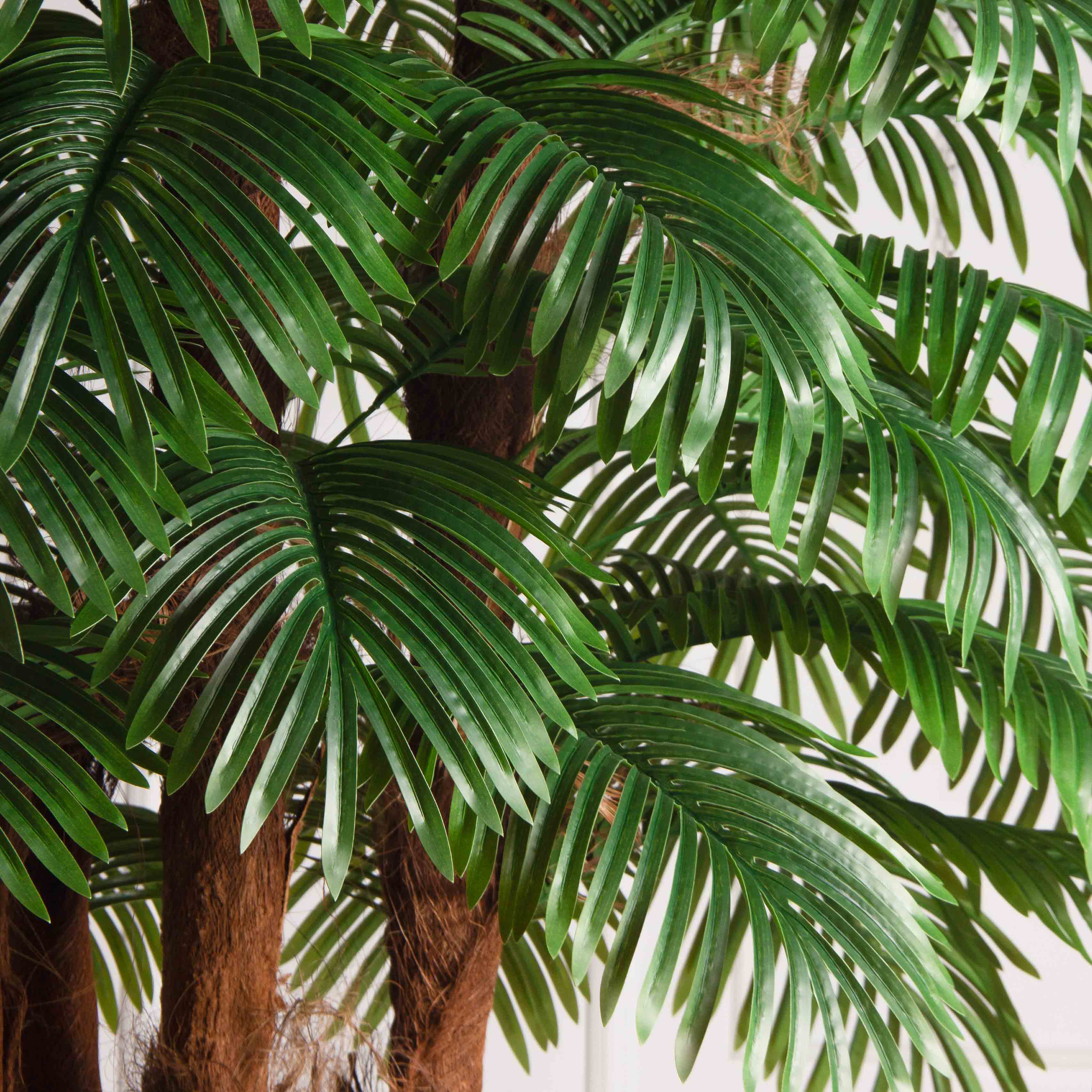 ПС240/5К/49Л(з)(F) Пальма Арека искусственная h240см (латекс)_5