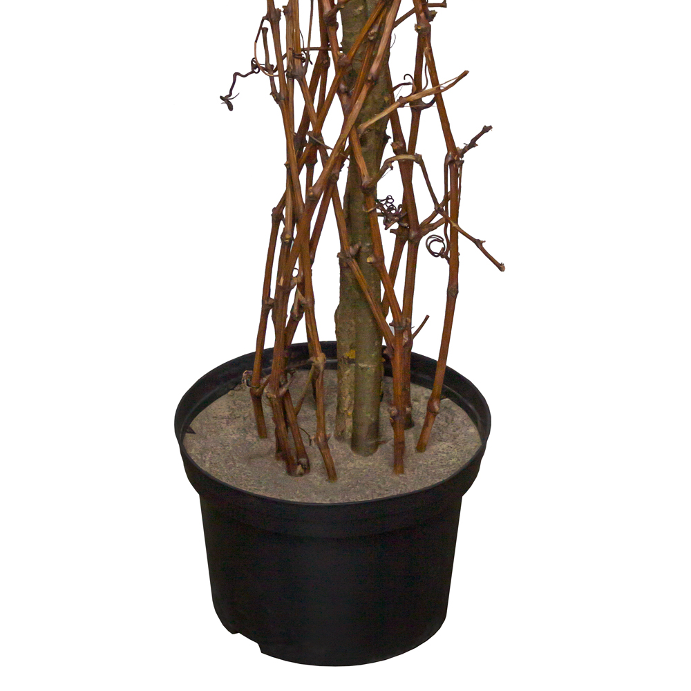 250Пр/РН/434(з.) Бугенвилле́я искусственная, h250см_1