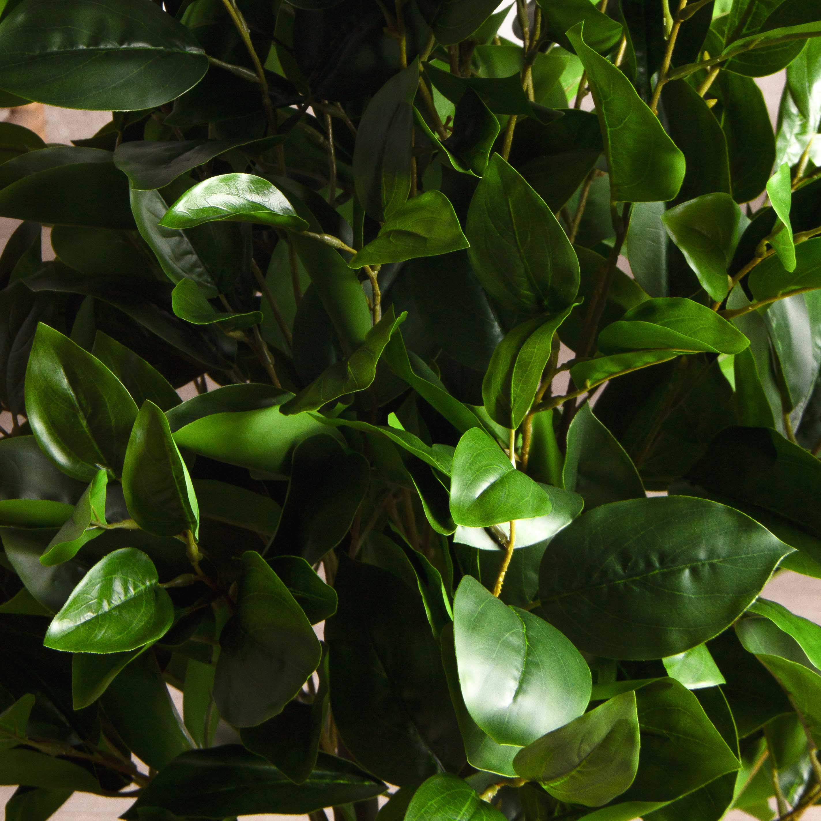 100/РН/504-1(з)(F) Фикус искусственный h100см, латекс_5