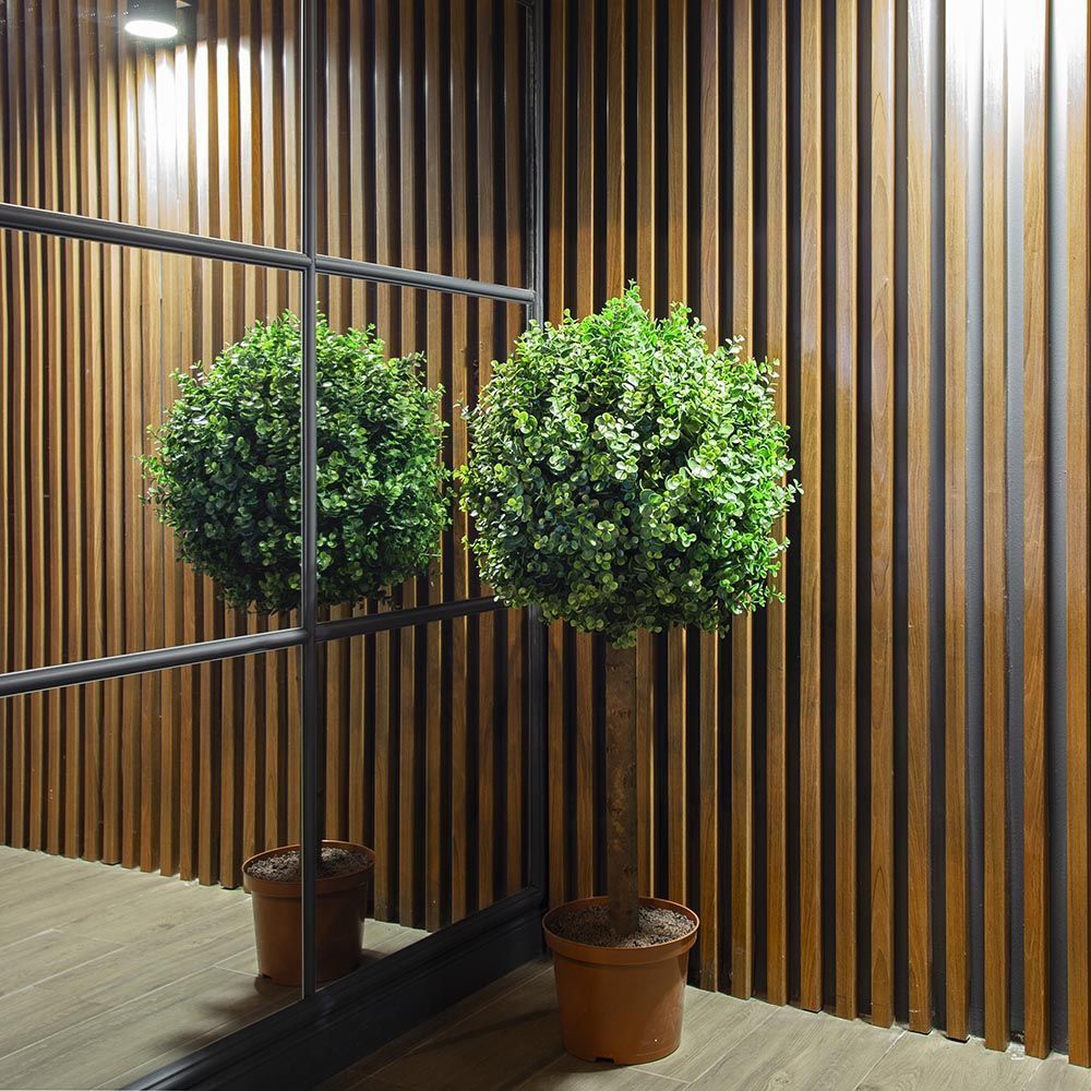 СШ110/228-1 Самшит-шар эвкалипт 