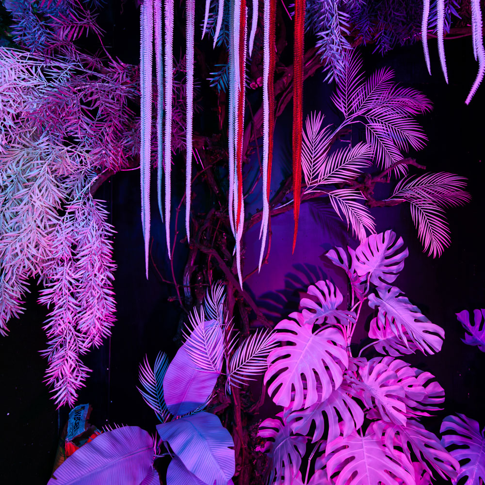 Фитостена 104_1