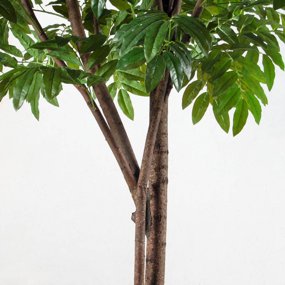 300/РН/220(Пр)(F) Манго искусственное h300см (латекс)_5