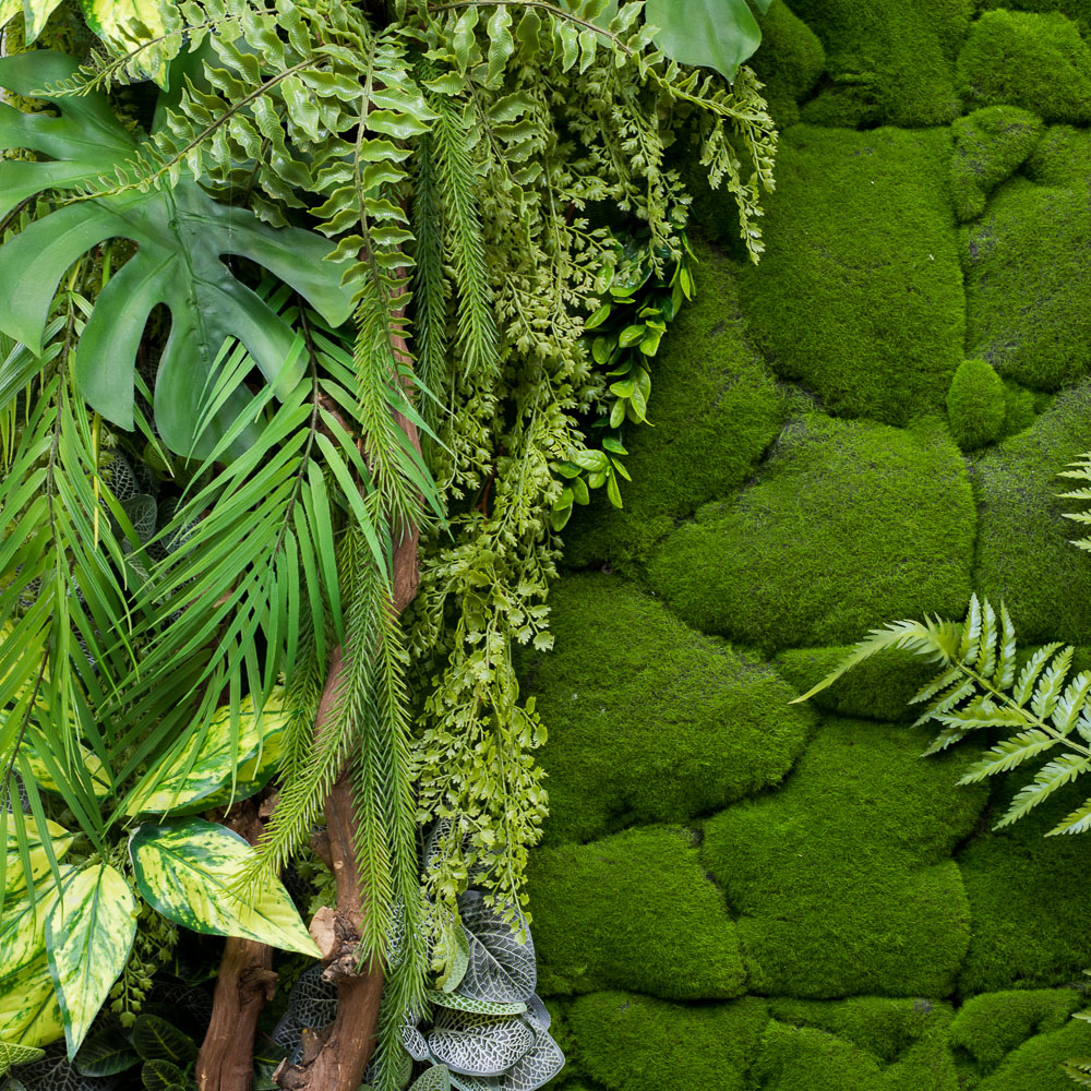 Фитостена 97(з.)_3