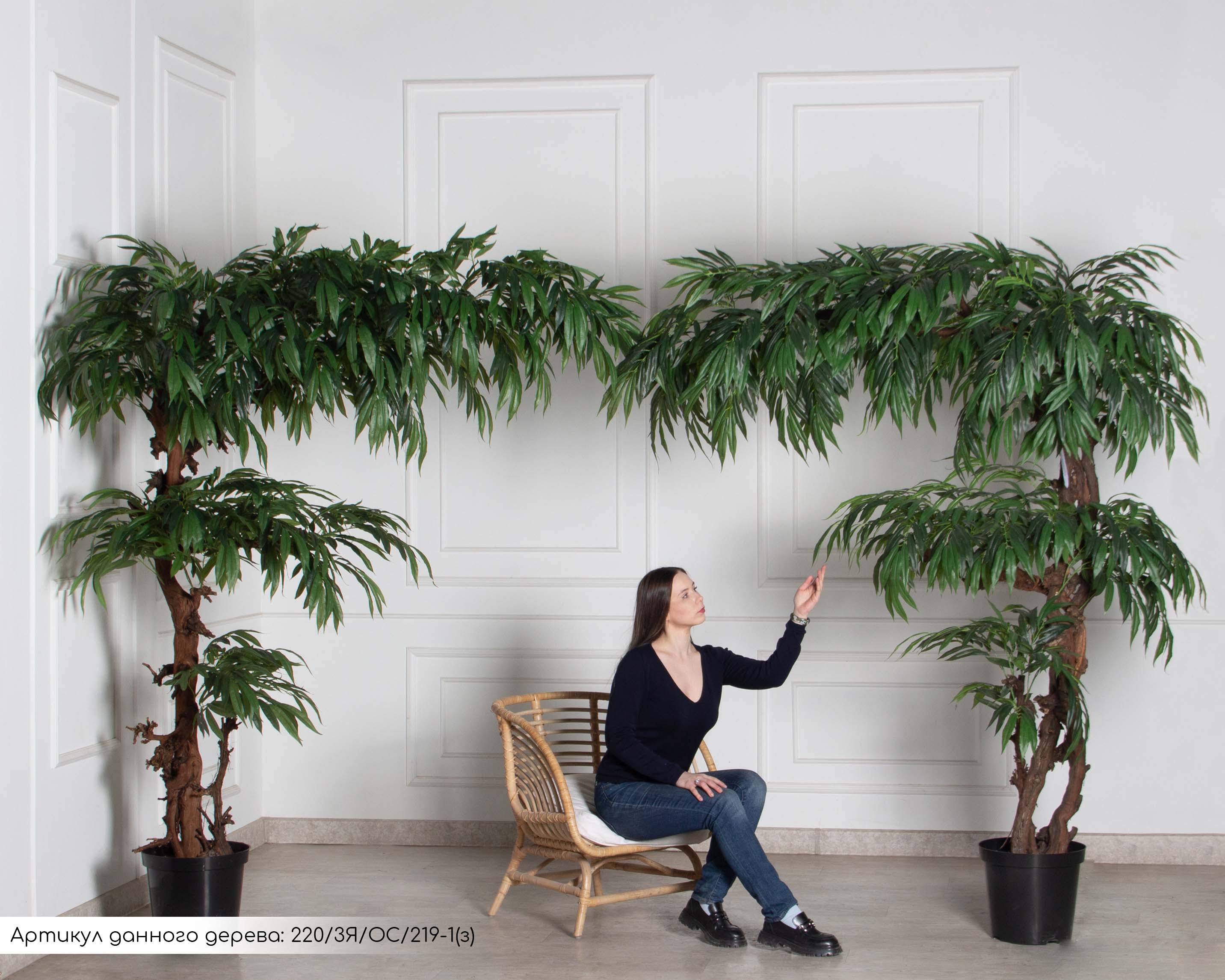 220/3Я/ОС/219(з)(F) Лонгифолия искусственная пристенная h220см_4
