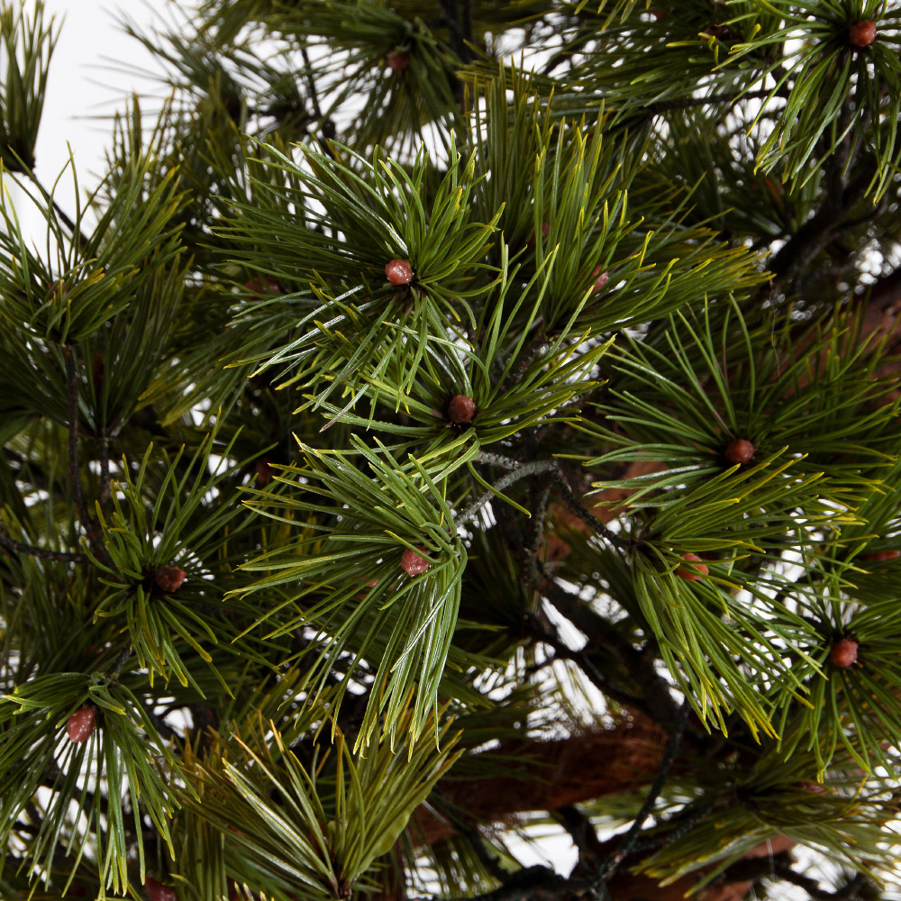 БС185/ОС/30-1(з)(F) Бонсай искусственный Сосна h185см_6