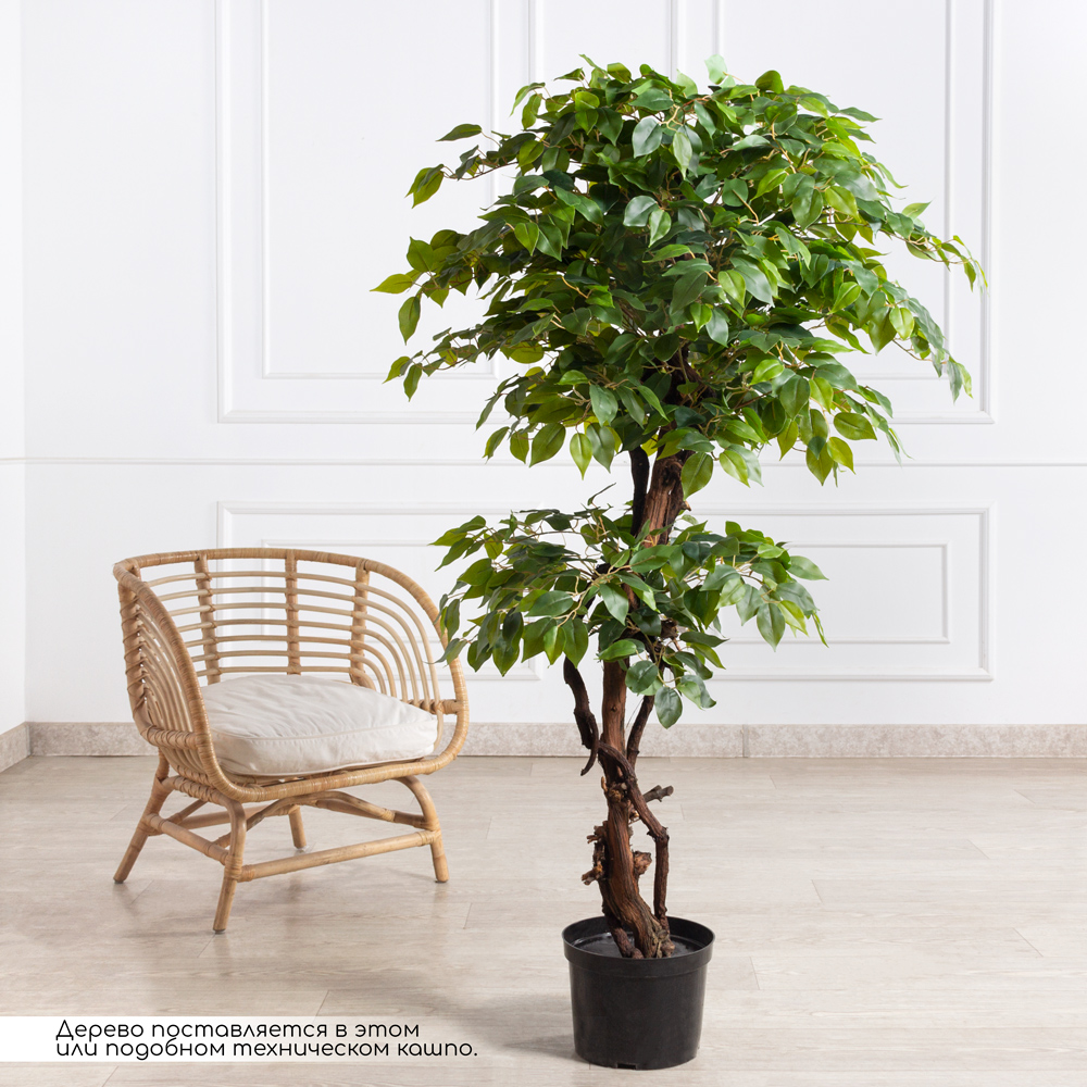 160/ОС/Л/34(з)(Пр)(F) Фикус искусственный h160см (латекс)_1
