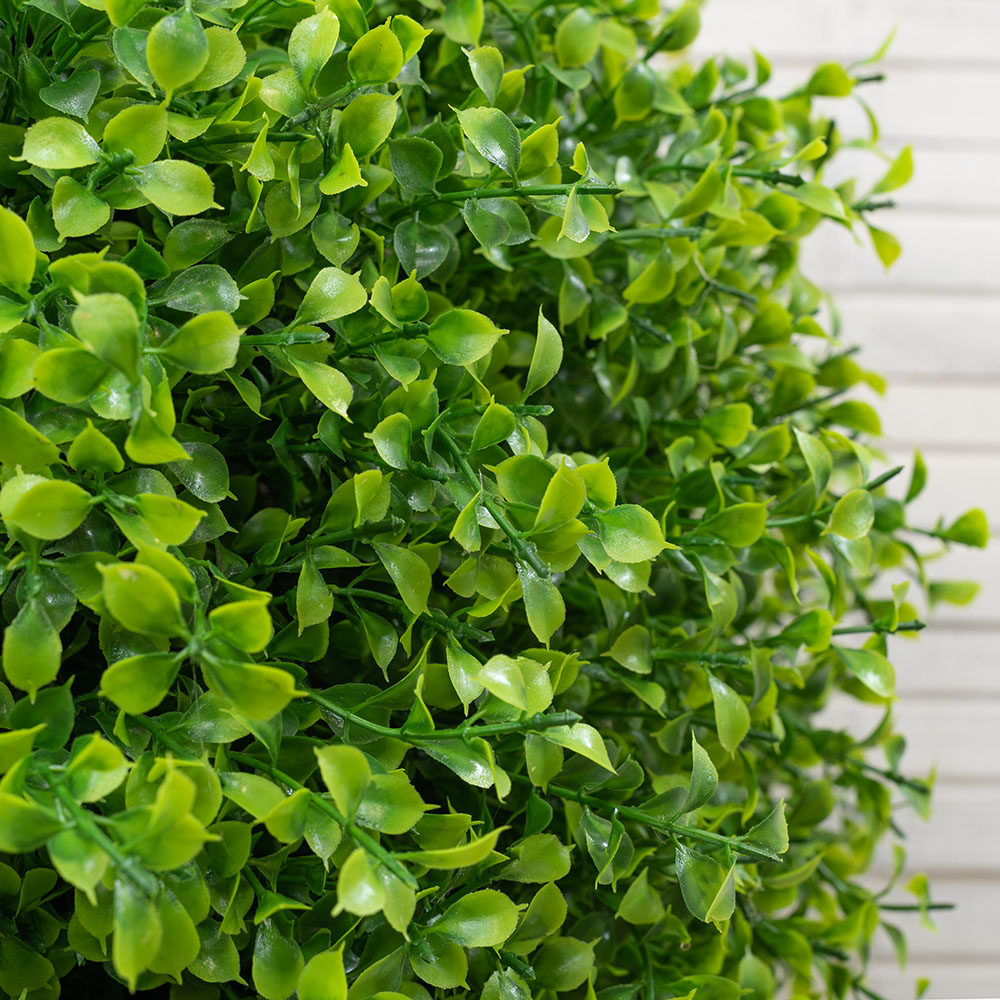 СШ55/229-1 Самшит-шар Премиум  (d-55см)_3