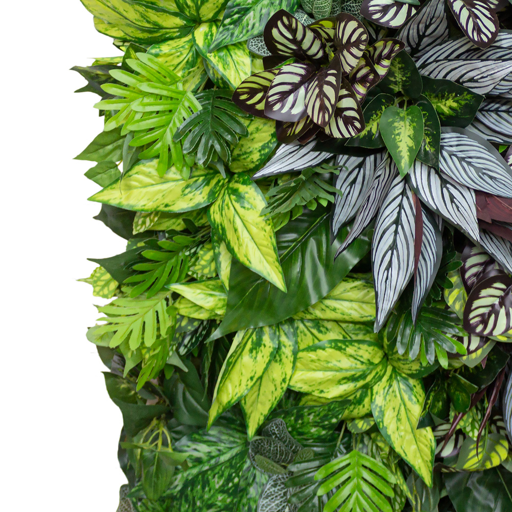 Фитостена 109_5