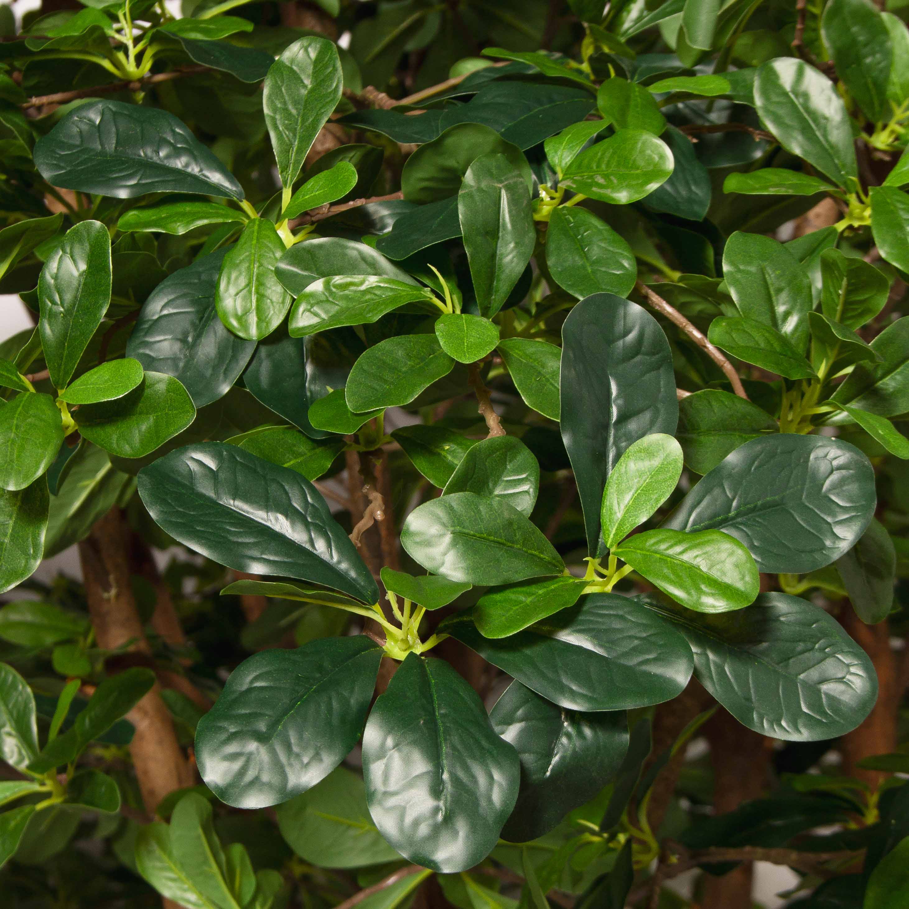 320/РН/84-7(з)(F) Шеффлера искусственная h320см d190см, латекс_4