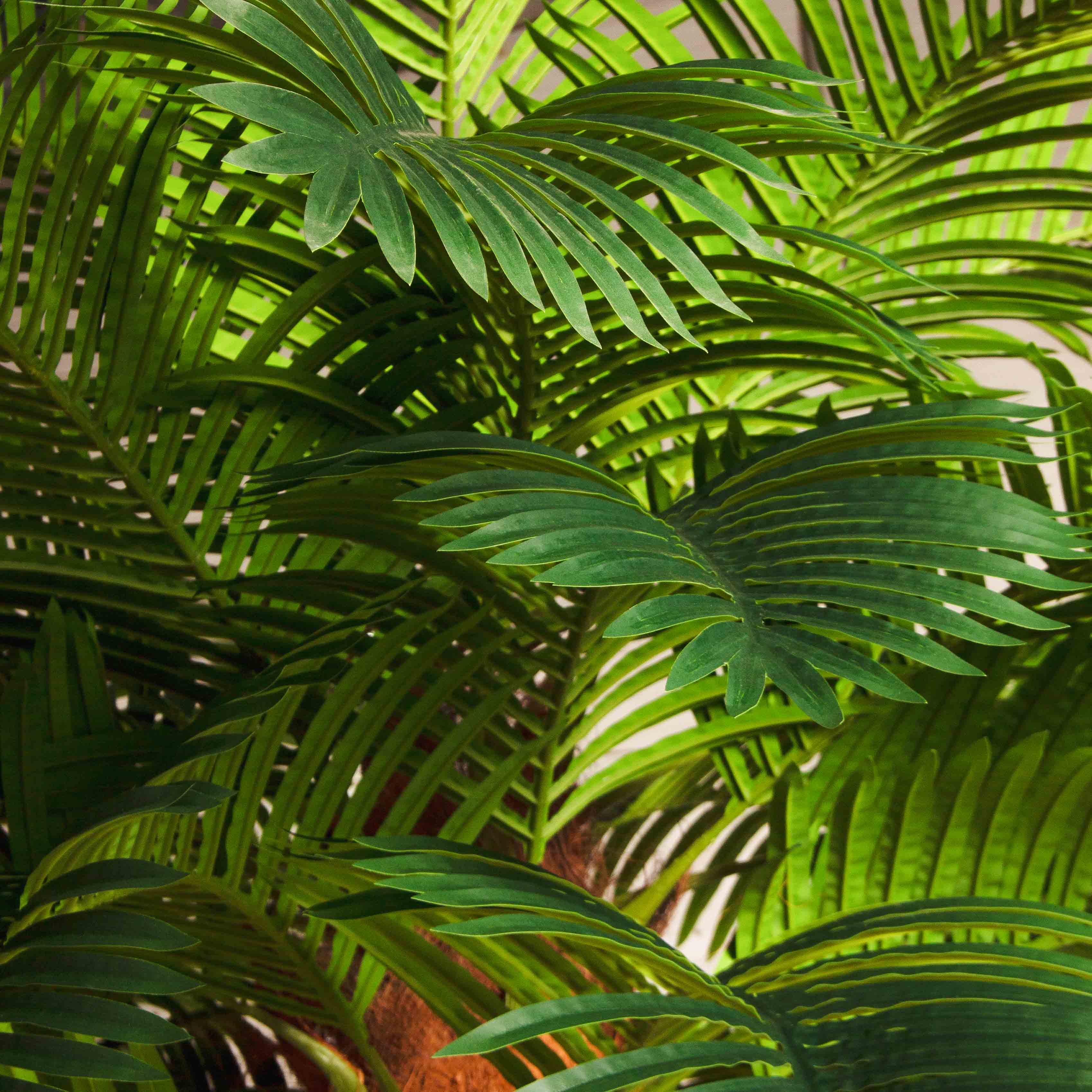 ПС350/ТР/49СТ(Пр)(F) Пальма Арека искусственная h350см (латекс) на мет.основании_6