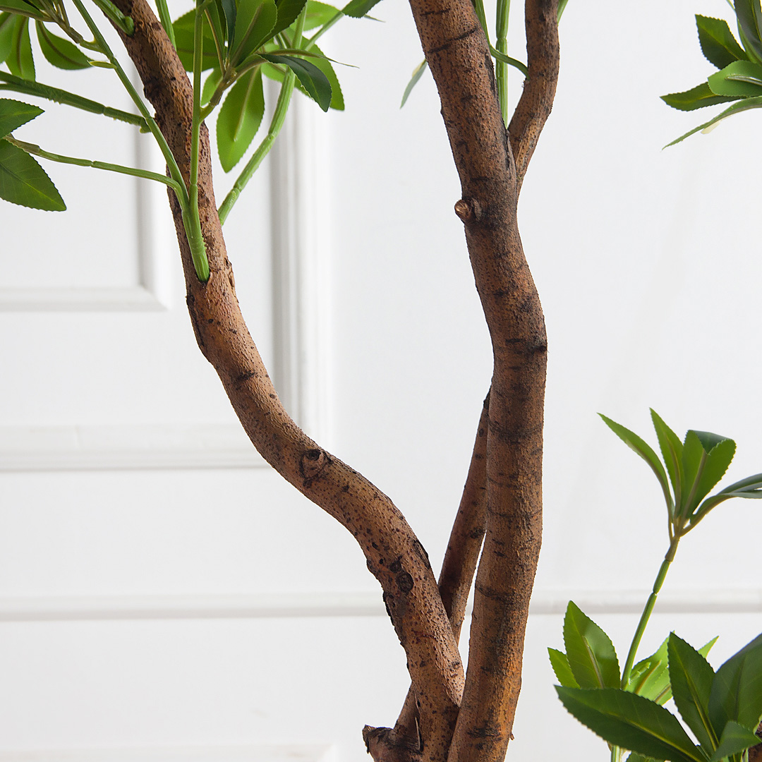 200/ВИТ/АСС/526(з)(F) Бересклет искусственный  h200см d130х80см, латекс_6