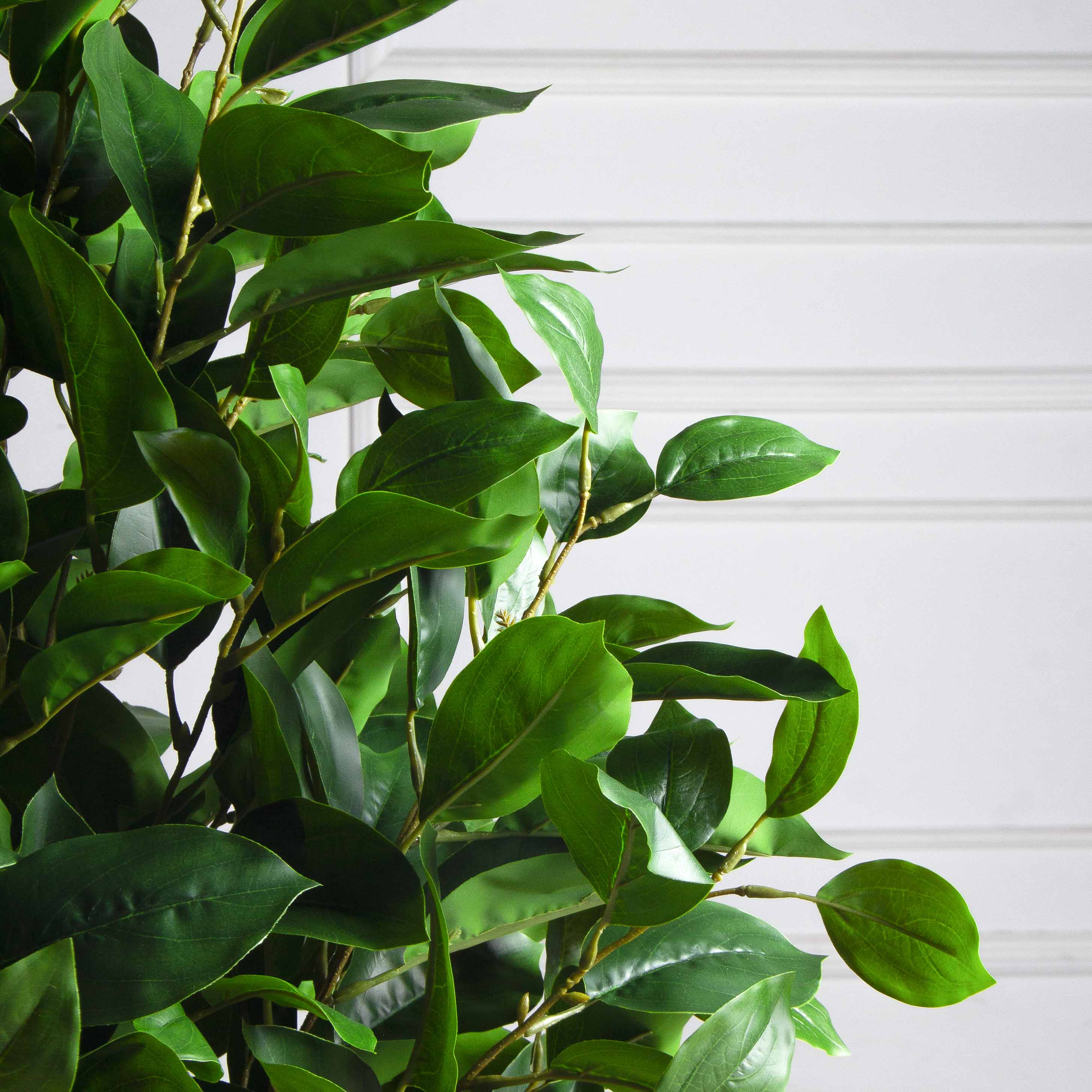 100/РН/504-1(з)(F) Фикус искусственный h100см, латекс_7