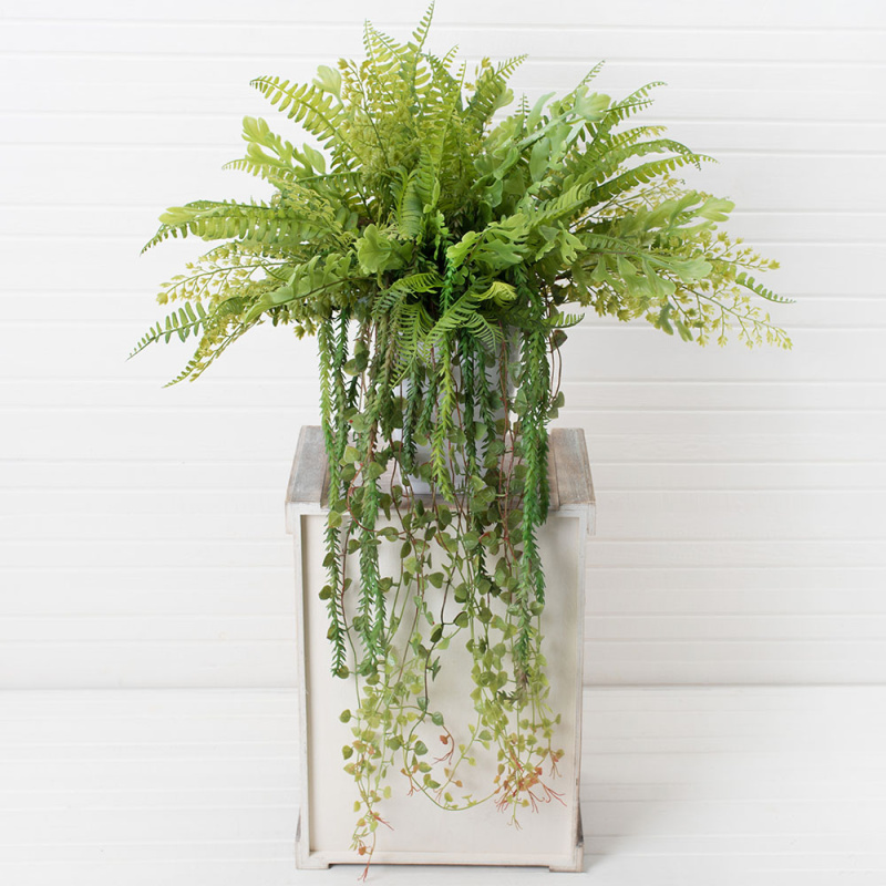 КЗ 02/2(з.) Папоротники амп. в ребристом кашпо (13,5*13,5*16)