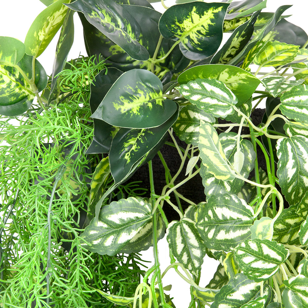 БК 28 Композиция с аспарагусом на блоке 15*h10_3