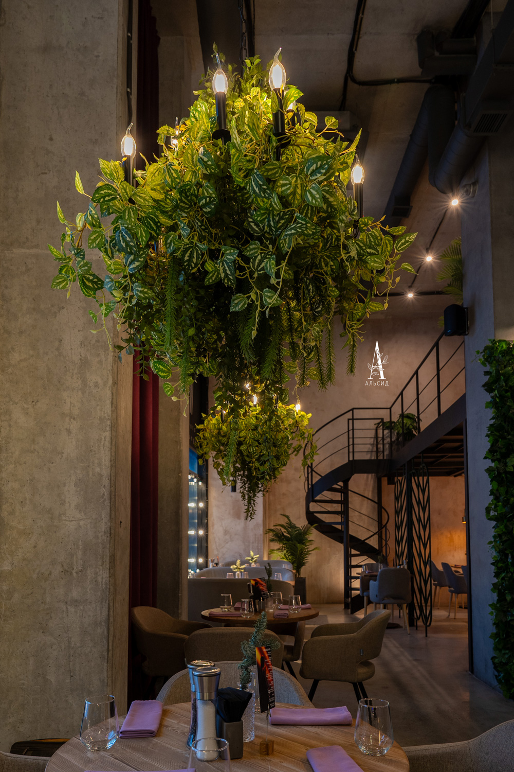 7144/0270-14 Плющ пилея кадье искусственный h70см_4