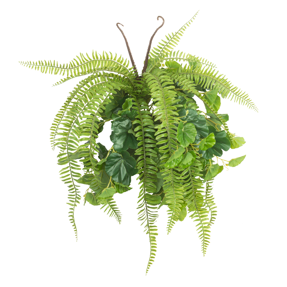 БК 04 Композиция с папоротником Экзальтата на блоке 15*h10