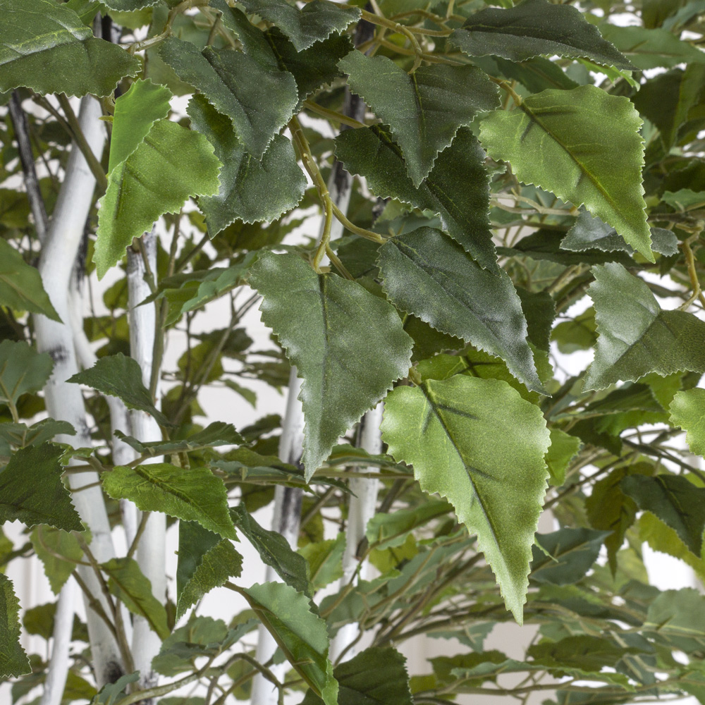 200/РН/490(з) Береза искусственная h200см (латекс)_4