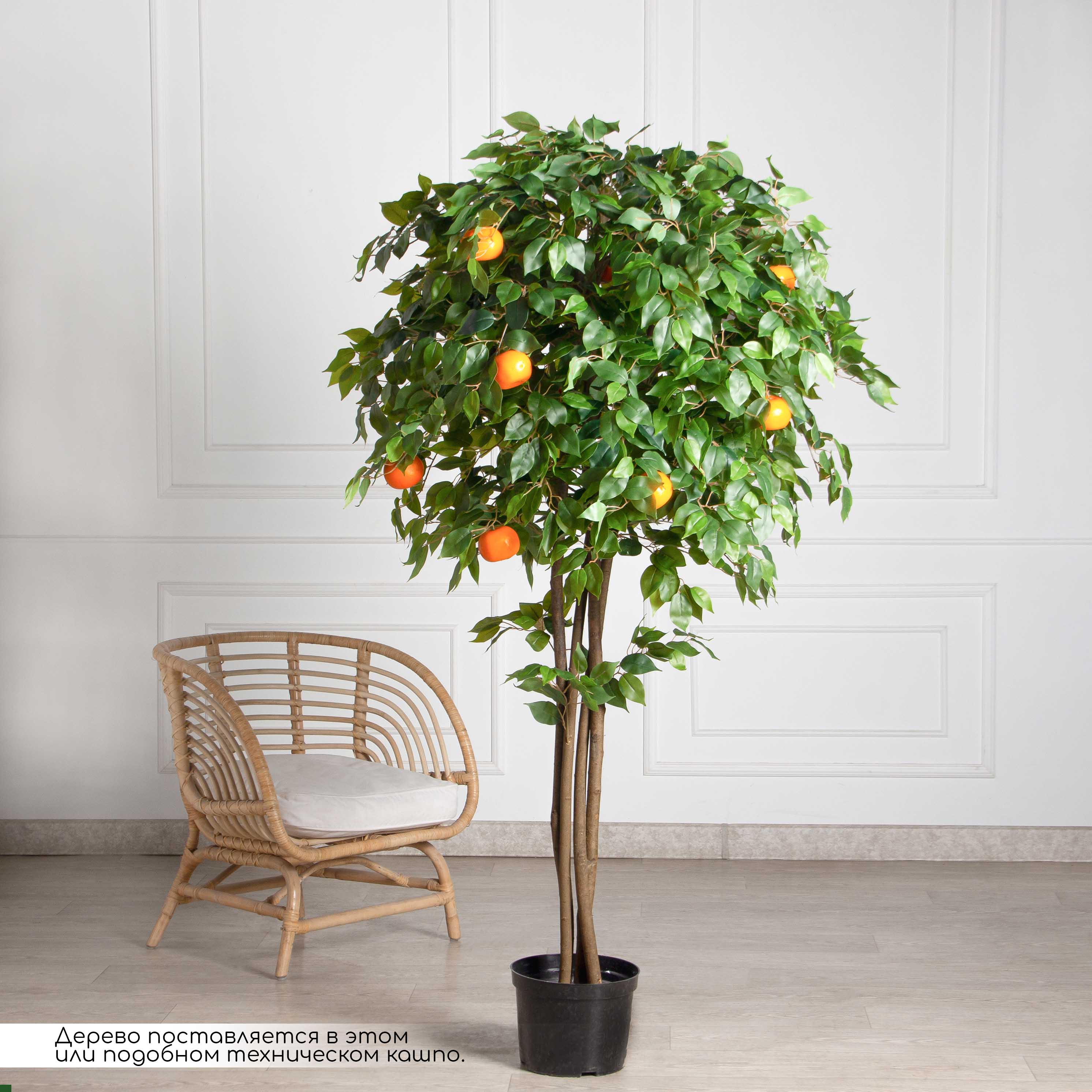 180/РПК/24М(Пр)(F) Мандарин искусственный с плодами h180см (латекс)_2