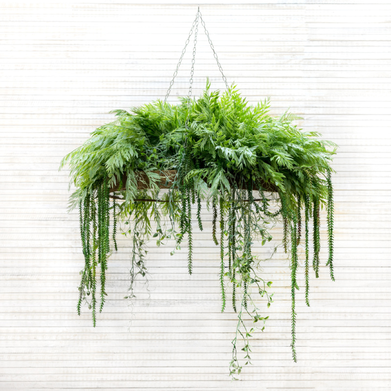 КЗ 05 Композ. из папоротников на цепях d-60 (с зеркальным дном)