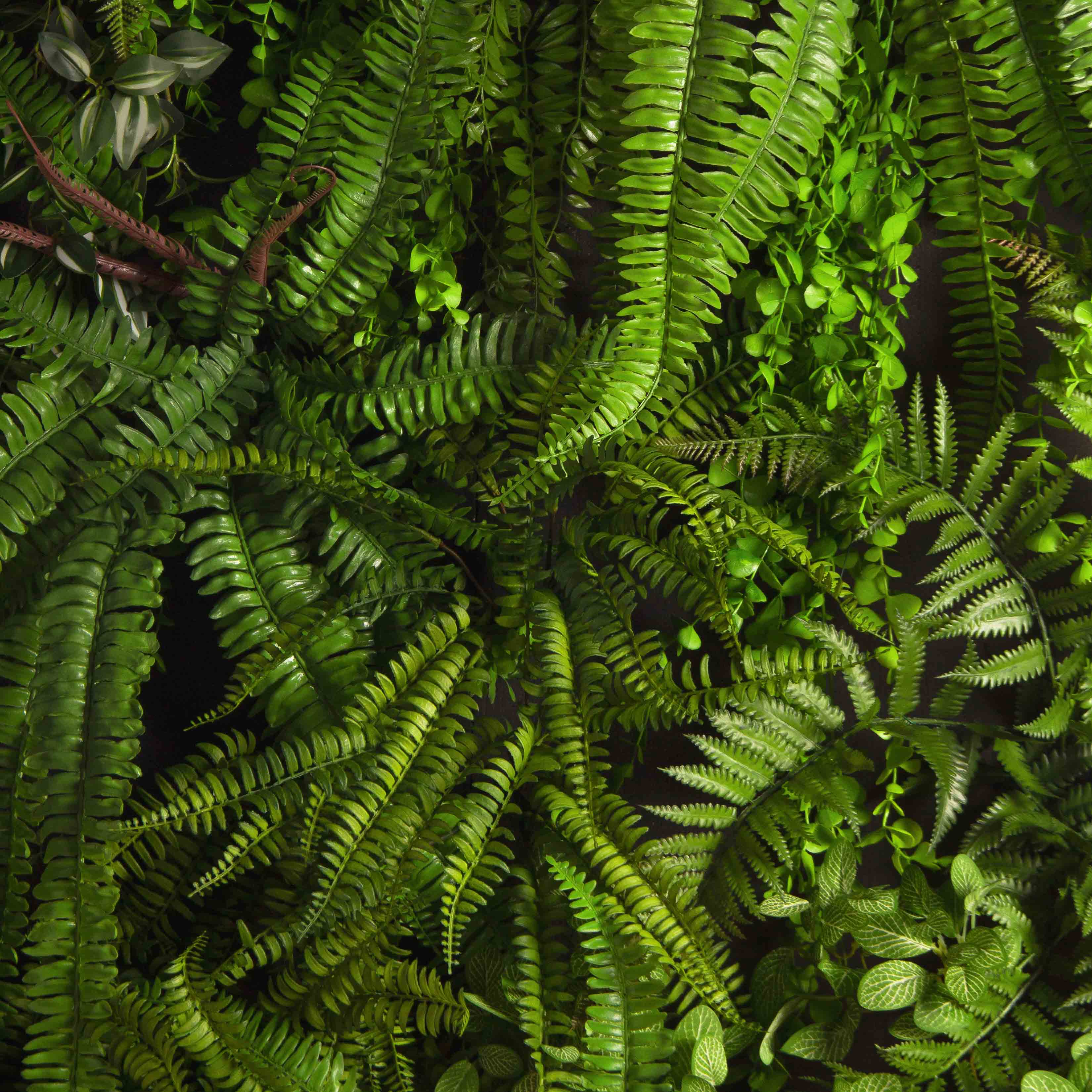 ФТС179(Пр)(F) Фитостена,  за 1кв.м_7